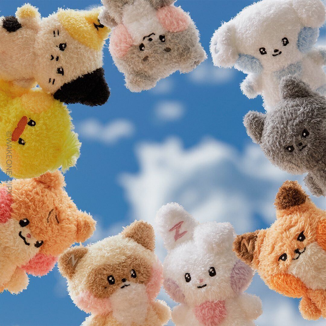 ZEROBASEONE - ZERONI MININI COSTUME PLUSH – Kpop Nara