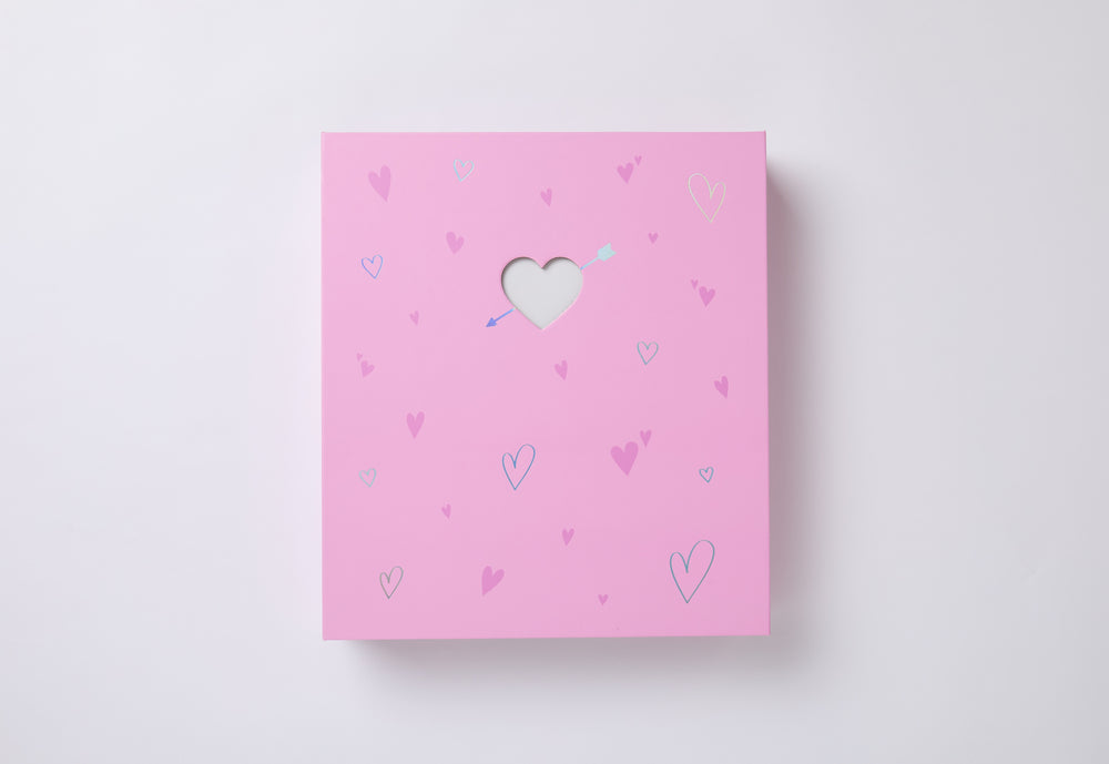 [KPOP STATIONERY] A4 BINDER - FLYING HEART