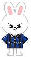 
                      
                        STRAY KIDS - KARMA (4TH ALBUM) [SKZOO]
                      
                    