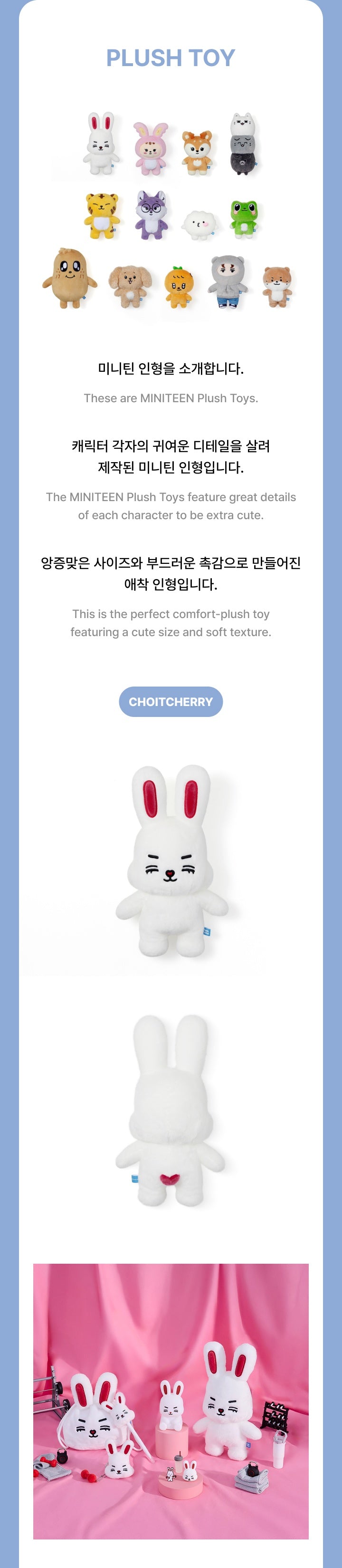 SEVENTEEN - MINITEEN PLUSH TOY – Kpop Nara